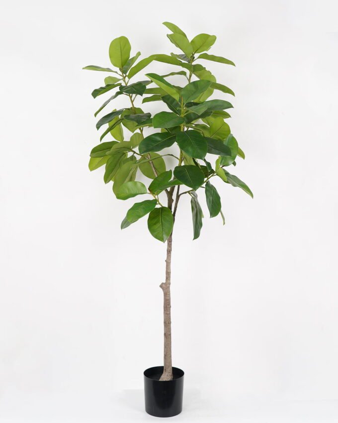 Artificial Tree Ficus tree in PP pot GS-64822001_4 Artificial Tree 90*90*180cm Ficus tree in PP pot GS-64822001 Tree&Plant YeahFlower is one of Chinese leading OEM manufacturers and exporters , supplying the silk flowers, wholesale artificial trees