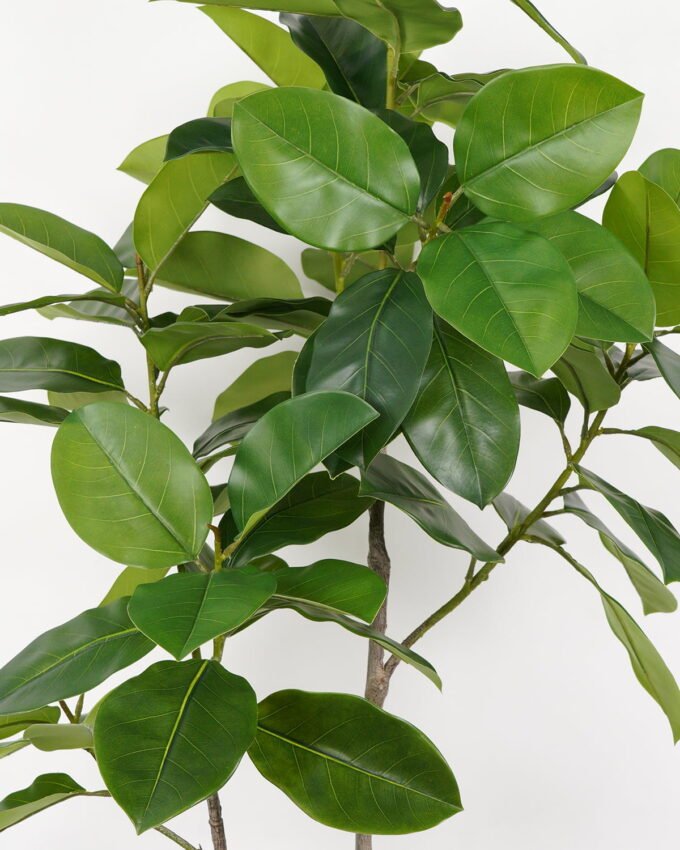 Artificial Tree 90*70*170cm Ficus tree in PP pot GS-64822002 Tree&Plant YeahFlower is one of Chinese leading OEM manufacturers and exporters , supplying the silk flowers, wholesale artificial trees