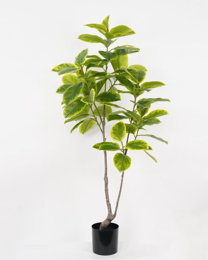 Artificial Tree 90*70*170cm Ficus tree in PP pot GS-64822002 Tree&Plant YeahFlower is one of Chinese leading OEM manufacturers and exporters , supplying the silk flowers, wholesale artificial trees