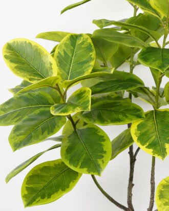 Artificial Tree 80*80*134cm Ficus tree in PP pot GS-64822003 Tree&Plant YeahFlower is one of Chinese leading OEM manufacturers and exporters , supplying the silk flowers, wholesale artificial trees Artificial Tree 80*80*134cm Ficus tree in PP pot GS-64822003 Tree&Plant YeahFlower is one of Chinese leading OEM manufacturers and exporters , supplying the silk flowers, wholesale artificial trees