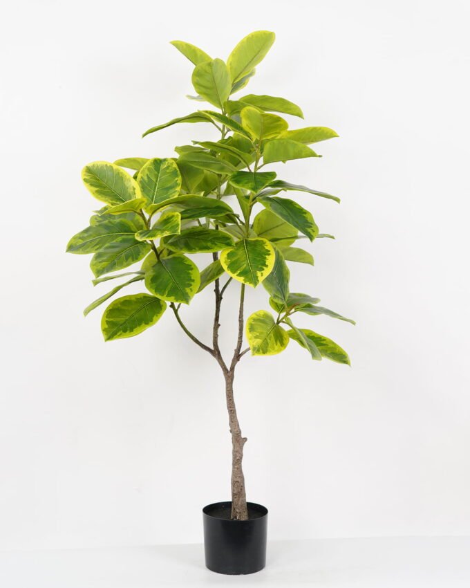 Artificial Tree 80*80*134cm Ficus tree in PP pot GS-64822003 Tree&Plant YeahFlower is one of Chinese leading OEM manufacturers and exporters , supplying the silk flowers, wholesale artificial trees