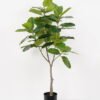 Artificial Tree 80*80*134cm Ficus tree in PP pot GS-64822003 Tree&Plant YeahFlower is one of Chinese leading OEM manufacturers and exporters , supplying the silk flowers, wholesale artificial trees