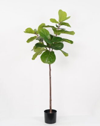 Artificial Tree 77*77*150cm Ficus tree in PP pot GS-64822008 Tree&Plant YeahFlower is one of Chinese leading OEM manufacturers and exporters , supplying the silk flowers, wholesale artificial trees Artificial Tree 77*77*150cm Ficus tree in PP pot GS-64822008 Tree&Plant YeahFlower is one of Chinese leading OEM manufacturers and exporters , supplying the silk flowers, wholesale artificial trees