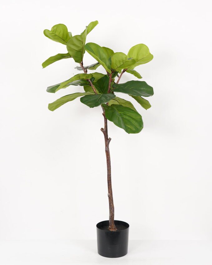 Artificial Tree 50*60*125cm Ficus tree in PP pot GS-64822009 Tree&Plant YeahFlower is one of Chinese leading OEM manufacturers and exporters , supplying the silk flowers, wholesale artificial trees