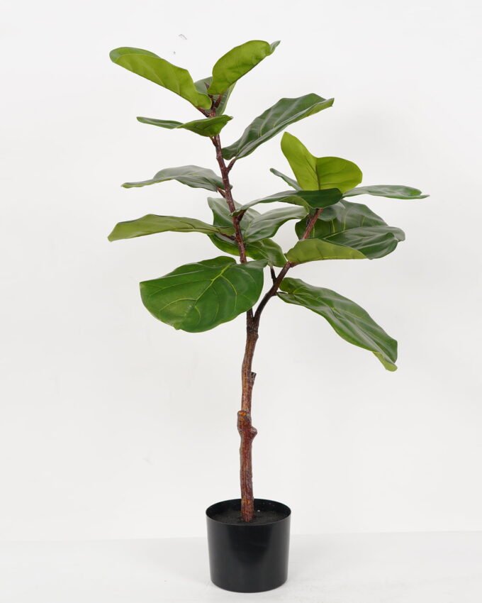 Artificial Tree 50*50*95cm Ficus tree in PP pot GS-64822010 Tree&Plant YeahFlower is one of Chinese leading OEM manufacturers and exporters , supplying the silk flowers, wholesale artificial trees