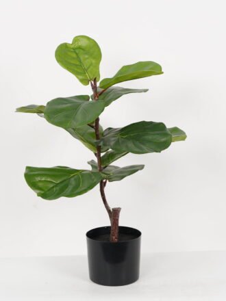 Artificial Tree 60*60*85cm Ficus tree in PP pot GS-64822011 Tree&Plant 3,000+ sqm showroom with thousands of artificial flowers, plants & trees ready for global sourcing.
