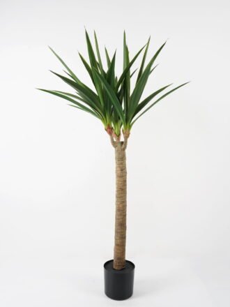 Artificial Tree 64*64*85cm Dracaena marginata tree in pp pot GS-59522011 Tree&Plant 3,000+ sqm showroom with thousands of artificial flowers, plants & trees ready for global sourcing.