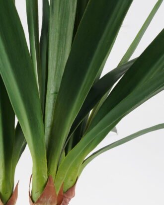 Artificial Tree 75*75*138cm Gladiolus in pp pot/32LVS GS-59522016 Tree&Plant YeahFlower is one of Chinese leading OEM manufacturers and exporters , supplying the silk flowers, wholesale artificial trees