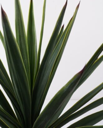 Artificial Tree 80*80*150cm Gladiolus in pp pot/40LVS GS-59522017 Tree&Plant YeahFlower is one of Chinese leading OEM manufacturers and exporters , supplying the silk flowers, wholesale artificial trees