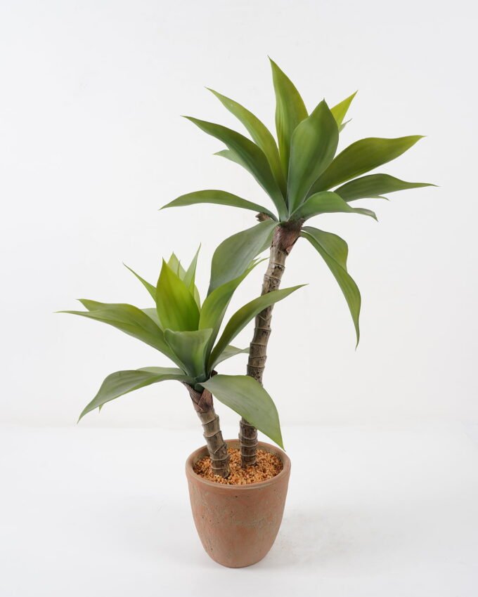 Artificial Tree 60*60*80cm Green agave*2 in cement pot GS-19222018 Tree&Plant YeahFlower is one of Chinese leading OEM manufacturers and exporters , supplying the silk flowers, wholesale artificial trees