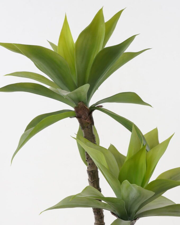 Artificial Tree 60*60*80cm Green agave*2 in cement pot GS-19222018 Tree&Plant YeahFlower is one of Chinese leading OEM manufacturers and exporters , supplying the silk flowers, wholesale artificial trees