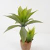 Artificial Tree Green agave 2 in cement pot GS-19222020 Artificial Tree 45*45*50cm Green agave*2 in cement pot GS-19222020 Tree&Plant YeahFlower is one of Chinese leading OEM manufacturers and exporters , supplying the silk flowers, wholesale artificial trees