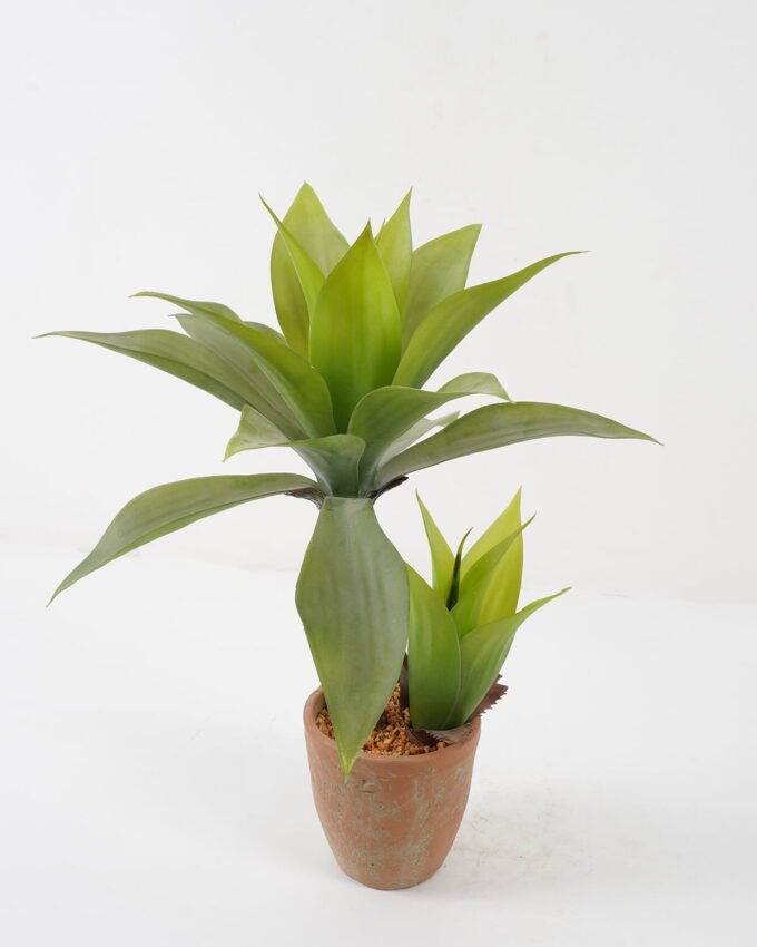 Artificial Tree Green agave 2 in cement pot GS-19222020 Artificial Tree 45*45*50cm Green agave*2 in cement pot GS-19222020 Tree&Plant YeahFlower is one of Chinese leading OEM manufacturers and exporters , supplying the silk flowers, wholesale artificial trees