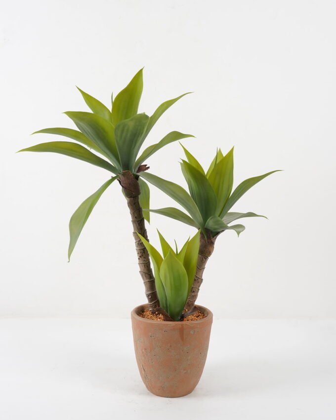 Artificial Tree 58*58*70cm Green agave*3 in cement pot GS-19222019 Tree&Plant YeahFlower is one of Chinese leading OEM manufacturers and exporters , supplying the silk flowers, wholesale artificial trees