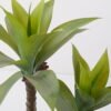 Artificial Tree 58*58*70cm Green agave*3 in cement pot GS-19222019 Tree&Plant YeahFlower is one of Chinese leading OEM manufacturers and exporters , supplying the silk flowers, wholesale artificial trees