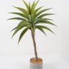 Artificial Tree 60*60*95cm Green agave in cement pot GS-19222042 Tree&Plant YeahFlower is one of Chinese leading OEM manufacturers and exporters , supplying the silk flowers, wholesale artificial trees