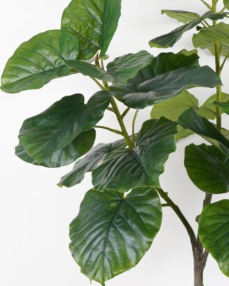 Artificial Tree 90*80*174cm Heart-shape ficus in PP pot GS-64822004 Tree&Plant YeahFlower is one of Chinese leading OEM manufacturers and exporters , supplying the silk flowers, wholesale artificial trees Artificial Tree 90*80*174cm Heart-shape ficus in PP pot GS-64822004 Tree&Plant YeahFlower is one of Chinese leading OEM manufacturers and exporters , supplying the silk flowers, wholesale artificial trees