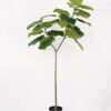 Artificial Tree 88*60*150cm Heart-shape ficus in PP pot GS-64822005 Tree&Plant YeahFlower is one of Chinese leading OEM manufacturers and exporters , supplying the silk flowers, wholesale artificial trees