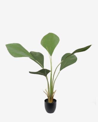 Artificial Tree 60*60*110CM Johannesteijsmannia altifrons tree in pp pot GS-48522031 Tree&Plant YeahFlower is one of Chinese leading OEM manufacturers and exporters , supplying the silk flowers, wholesale artificial trees