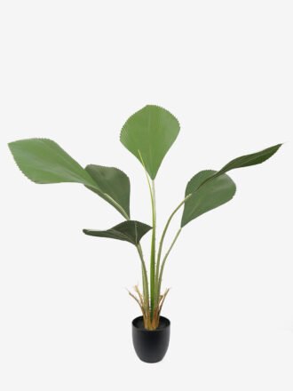 Artificial Tree 95*95*205CM Polyscias tree in pp pot GS-48522030 Tree&Plant 3,000+ sqm showroom with thousands of artificial flowers, plants & trees ready for global sourcing.