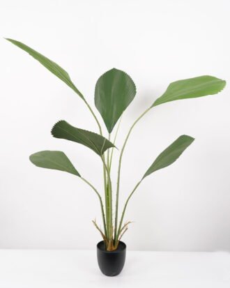 Artificial Tree 65*65*130CM Johannesteijsmannia altifrons tree in pp pot GS-48522032 Tree&Plant YeahFlower is one of Chinese leading OEM manufacturers and exporters , supplying the silk flowers, wholesale artificial trees