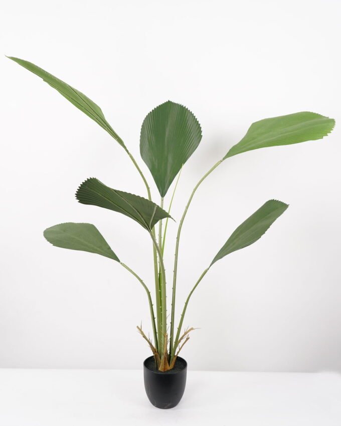 Artificial Tree 65*65*130CM Johannesteijsmannia altifrons tree in pp pot GS-48522032 Tree&Plant YeahFlower is one of Chinese leading OEM manufacturers and exporters , supplying the silk flowers, wholesale artificial trees