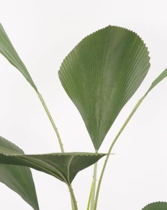 Artificial Tree 80*80*160CM Johannesteijsmannia altifrons tree in pp pot GS-48522033 Tree&Plant YeahFlower is one of Chinese leading OEM manufacturers and exporters , supplying the silk flowers, wholesale artificial trees