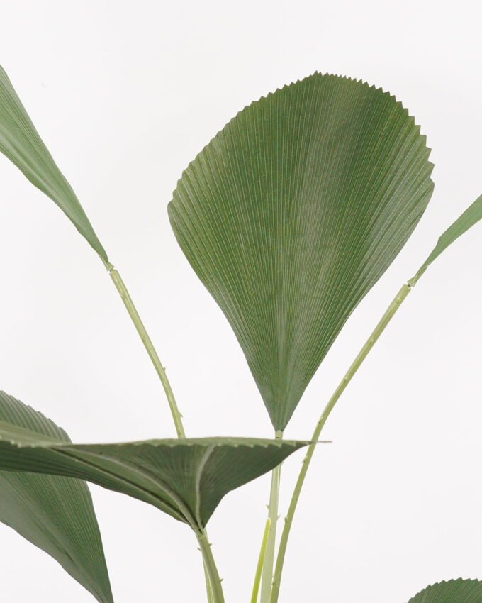 Artificial Tree Johannesteijsmannia altifrons tree in pp pot GS-48522033_1 Artificial Tree 80*80*160CM Johannesteijsmannia altifrons tree in pp pot GS-48522033 Tree&Plant YeahFlower is one of Chinese leading OEM manufacturers and exporters , supplying the silk flowers, wholesale artificial trees