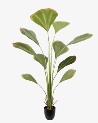 Artificial Tree 90*90*180CM Johannesteijsmannia altifrons tree in pp pot GS-48522034 Tree&Plant YeahFlower is one of Chinese leading OEM manufacturers and exporters , supplying the silk flowers, wholesale artificial trees