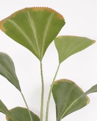 Artificial Tree 90*90*180CM Johannesteijsmannia altifrons tree in pp pot GS-48522034 Tree&Plant YeahFlower is one of Chinese leading OEM manufacturers and exporters , supplying the silk flowers, wholesale artificial trees