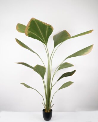 Artificial Tree 100*100*205CM Johannesteijsmannia altifrons tree in pp pot GS-48522035 Tree&Plant YeahFlower is one of Chinese leading OEM manufacturers and exporters , supplying the silk flowers, wholesale artificial trees Artificial Tree 100*100*205CM Johannesteijsmannia altifrons tree in pp pot GS-48522035 Tree&Plant YeahFlower is one of Chinese leading OEM manufacturers and exporters , supplying the silk flowers, wholesale artificial trees