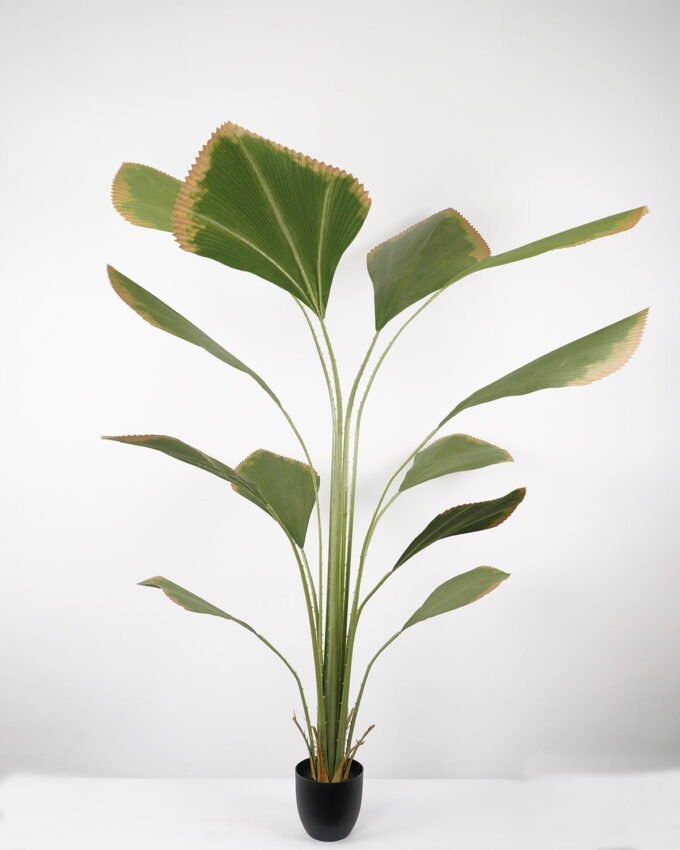 Artificial Tree 100*100*205CM Johannesteijsmannia altifrons tree in pp pot GS-48522035 Tree&Plant YeahFlower is one of Chinese leading OEM manufacturers and exporters , supplying the silk flowers, wholesale artificial trees