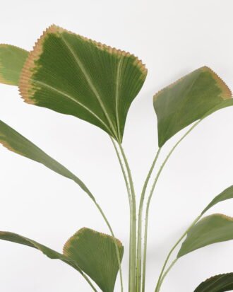 Artificial Tree 100*100*205CM Johannesteijsmannia altifrons tree in pp pot GS-48522035 Tree&Plant YeahFlower is one of Chinese leading OEM manufacturers and exporters , supplying the silk flowers, wholesale artificial trees Artificial Tree 100*100*205CM Johannesteijsmannia altifrons tree in pp pot GS-48522035 Tree&Plant YeahFlower is one of Chinese leading OEM manufacturers and exporters , supplying the silk flowers, wholesale artificial trees