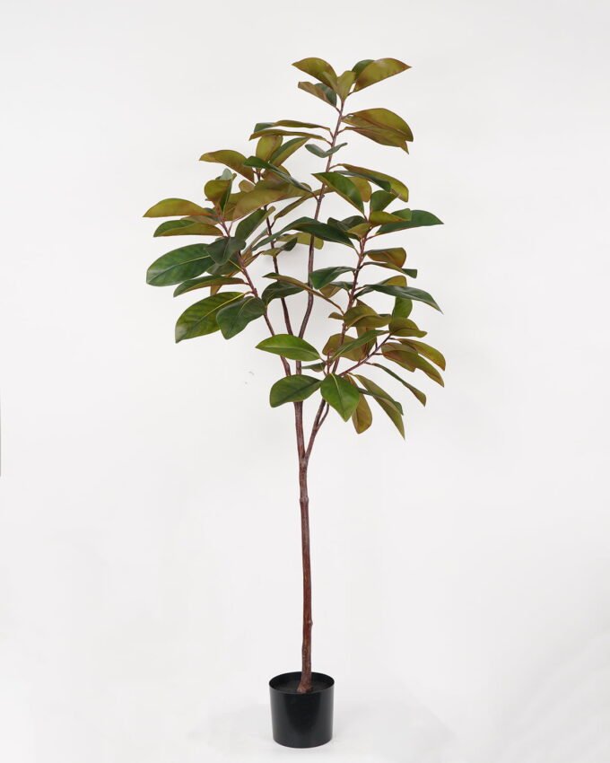 Artificial Tree 85*85*180cm Magnolia in PP pot GS-64822013 Tree&Plant YeahFlower is one of Chinese leading OEM manufacturers and exporters , supplying the silk flowers, wholesale artificial trees