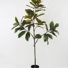 Artificial Tree 70*70*160cm Magnolia in PP pot GS-64822014 Tree&Plant YeahFlower is one of Chinese leading OEM manufacturers and exporters , supplying the silk flowers, wholesale artificial trees