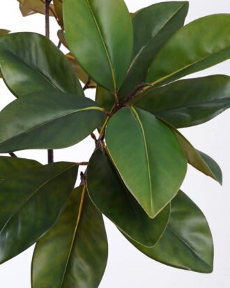 Artificial Tree 70*70*160cm Magnolia in PP pot GS-64822014 Tree&Plant YeahFlower is one of Chinese leading OEM manufacturers and exporters , supplying the silk flowers, wholesale artificial trees Artificial Tree 70*70*160cm Magnolia in PP pot GS-64822014 Tree&Plant YeahFlower is one of Chinese leading OEM manufacturers and exporters , supplying the silk flowers, wholesale artificial trees