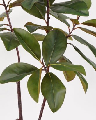 Artificial Tree 65*50*132cm Magnolia in PP pot GS-64822015 Tree&Plant YeahFlower is one of Chinese leading OEM manufacturers and exporters , supplying the silk flowers, wholesale artificial trees Artificial Tree 65*50*132cm Magnolia in PP pot GS-64822015 Tree&Plant YeahFlower is one of Chinese leading OEM manufacturers and exporters , supplying the silk flowers, wholesale artificial trees