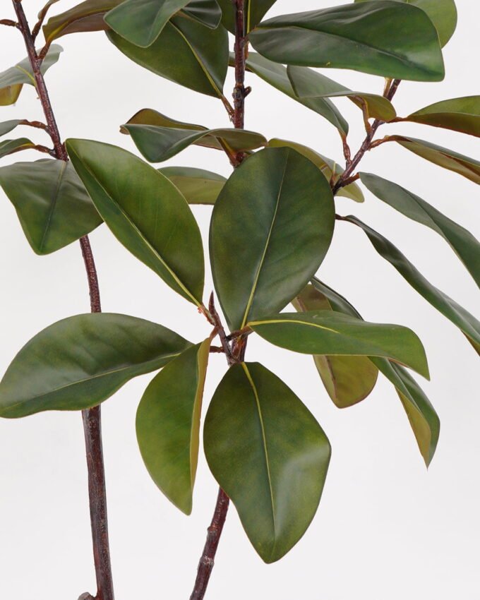 Artificial Tree 65*50*132cm Magnolia in PP pot GS-64822015 Tree&Plant YeahFlower is one of Chinese leading OEM manufacturers and exporters , supplying the silk flowers, wholesale artificial trees