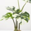 Artificial Tree 50*50*70CM Monstera in pp pot GS-48522048 Tree&Plant YeahFlower is one of Chinese leading OEM manufacturers and exporters , supplying the silk flowers, wholesale artificial trees
