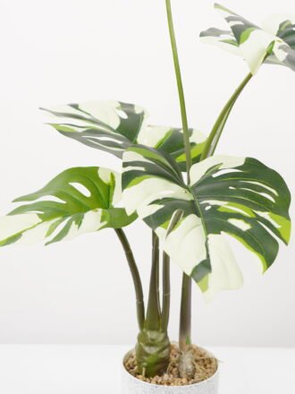 Artificial Tree 80*80*95CM Alocasia Sarian in pp pot GS-48522047 Tree&Plant 3,000+ sqm showroom with thousands of artificial flowers, plants & trees ready for global sourcing.