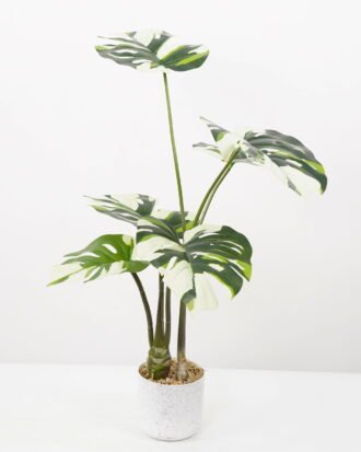 Artificial Tree 50*50*70CM Monstera in pp pot GS-48522048 Tree&Plant YeahFlower is one of Chinese leading OEM manufacturers and exporters , supplying the silk flowers, wholesale artificial trees Artificial Tree 50*50*70CM Monstera in pp pot GS-48522048 Tree&Plant YeahFlower is one of Chinese leading OEM manufacturers and exporters , supplying the silk flowers, wholesale artificial trees