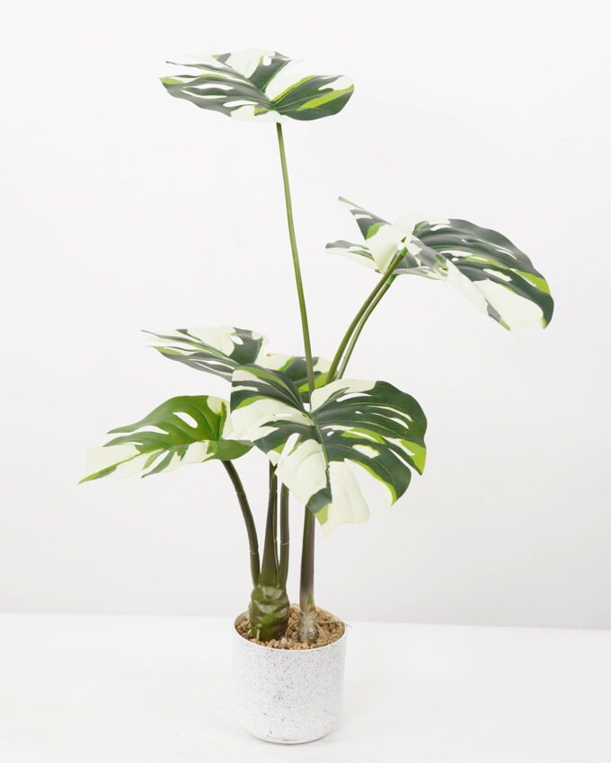 Artificial Tree 50*50*70CM Monstera in pp pot GS-48522048 Tree&Plant YeahFlower is one of Chinese leading OEM manufacturers and exporters , supplying the silk flowers, wholesale artificial trees