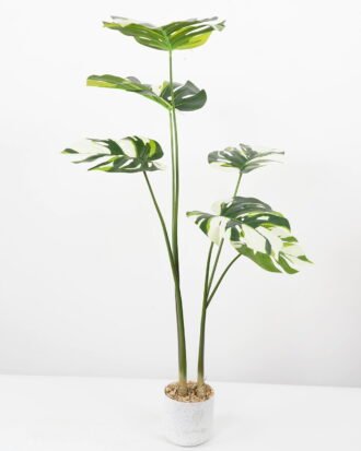 Artificial Tree 60*60*100CM Monstera in pp pot GS-48522049 Tree&Plant YeahFlower is one of Chinese leading OEM manufacturers and exporters , supplying the silk flowers, wholesale artificial trees Artificial Tree 60*60*100CM Monstera in pp pot GS-48522049 Tree&Plant YeahFlower is one of Chinese leading OEM manufacturers and exporters , supplying the silk flowers, wholesale artificial trees