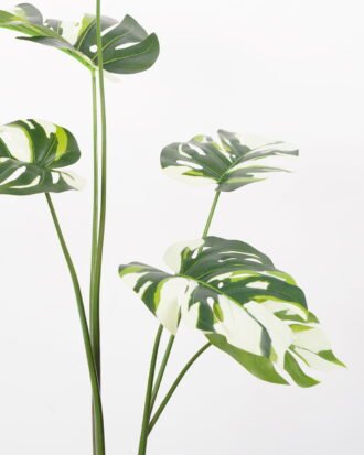 Artificial Tree 60*60*100CM Monstera in pp pot GS-48522049 Tree&Plant YeahFlower is one of Chinese leading OEM manufacturers and exporters , supplying the silk flowers, wholesale artificial trees Artificial Tree 60*60*100CM Monstera in pp pot GS-48522049 Tree&Plant YeahFlower is one of Chinese leading OEM manufacturers and exporters , supplying the silk flowers, wholesale artificial trees