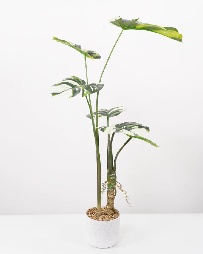 Artificial Tree Monstera in pp pot GS-48522050_5 Artificial Tree 55*55*100CM Monstera in pp pot GS-48522050 Tree&Plant YeahFlower is one of Chinese leading OEM manufacturers and exporters , supplying the silk flowers, wholesale artificial trees