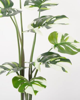 Artificial Tree 70*70*100CM Monstera in pp pot GS-48522051 Tree&Plant YeahFlower is one of Chinese leading OEM manufacturers and exporters , supplying the silk flowers, wholesale artificial trees Artificial Tree 70*70*100CM Monstera in pp pot GS-48522051 Tree&Plant YeahFlower is one of Chinese leading OEM manufacturers and exporters , supplying the silk flowers, wholesale artificial trees