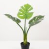 Artificial Tree 30*30*54CM Monstera in pp pot GS-48522063 Tree&Plant YeahFlower is one of Chinese leading OEM manufacturers and exporters , supplying the silk flowers, wholesale artificial trees