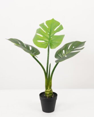 Artificial Tree 30*30*54CM Monstera in pp pot GS-48522063 Tree&Plant YeahFlower is one of Chinese leading OEM manufacturers and exporters , supplying the silk flowers, wholesale artificial trees Artificial Tree 30*30*54CM Monstera in pp pot GS-48522063 Tree&Plant YeahFlower is one of Chinese leading OEM manufacturers and exporters , supplying the silk flowers, wholesale artificial trees