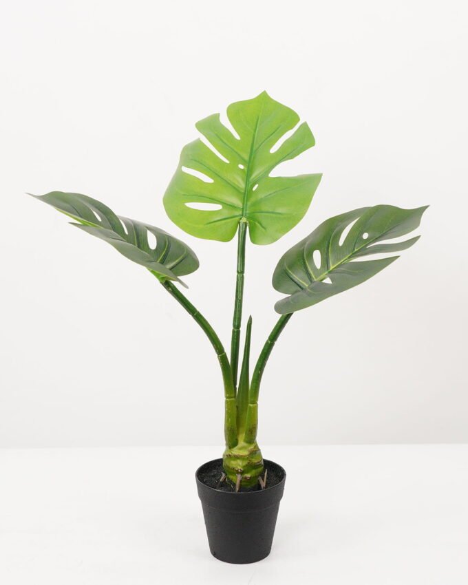 Artificial Tree 30*30*54CM Monstera in pp pot GS-48522063 Tree&Plant YeahFlower is one of Chinese leading OEM manufacturers and exporters , supplying the silk flowers, wholesale artificial trees