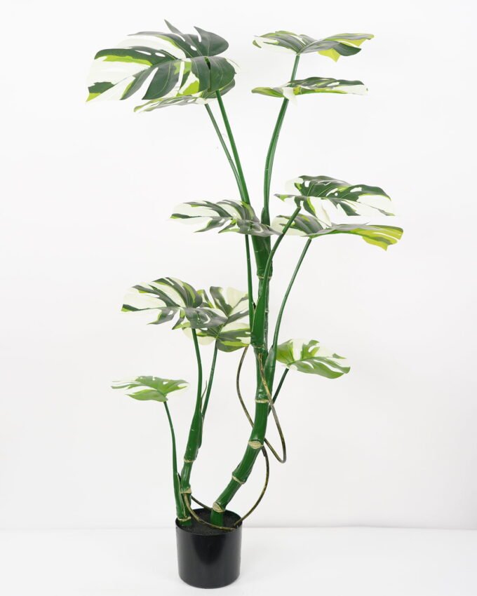 Artificial Tree Monstera tree in pp pot GS-48522004_5 Artificial Tree 75*60*120CM Monstera tree in pp pot GS-48522004 Tree&Plant YeahFlower is one of Chinese leading OEM manufacturers and exporters , supplying the silk flowers, wholesale artificial trees